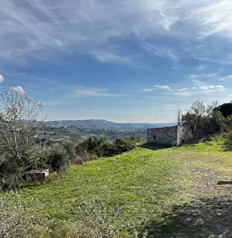Foto annuncio 89