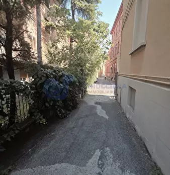 Foto annuncio 29