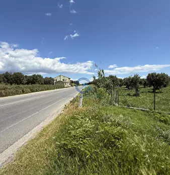 Foto annuncio 6