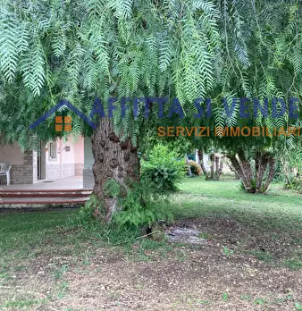 Foto annuncio 12