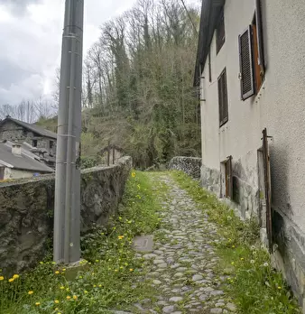 Foto annuncio 11
