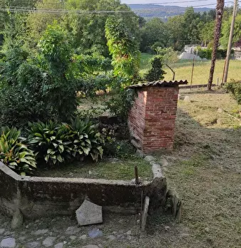 Foto annuncio 38