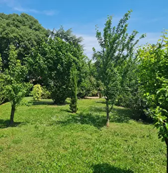 Foto annuncio 35