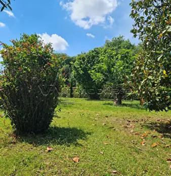 Foto annuncio 36