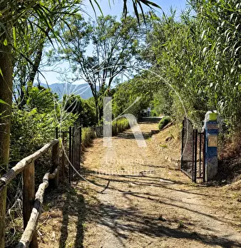 Foto annuncio 6