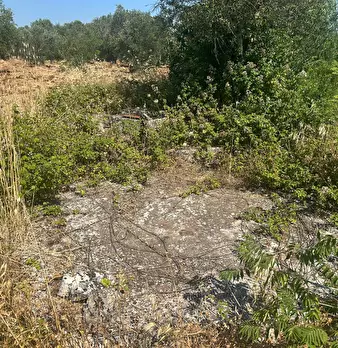 Foto annuncio 22