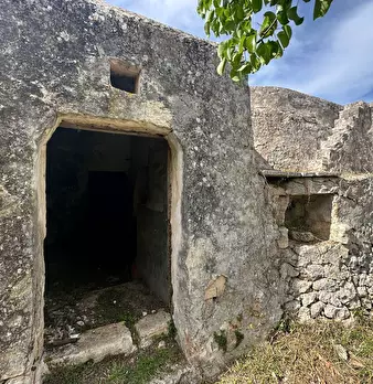 Foto annuncio 22