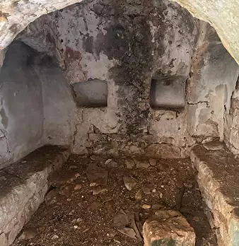 Foto annuncio 6