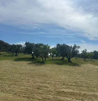 Foto annuncio 9