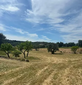Foto annuncio 13