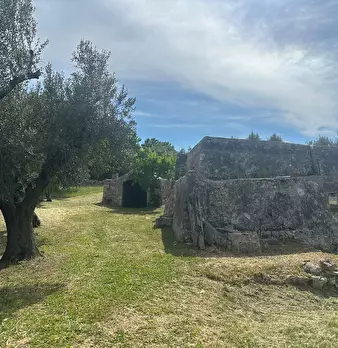 Foto annuncio 11