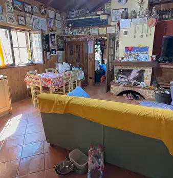 Foto annuncio 9