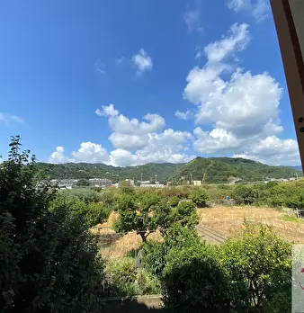 Foto annuncio 17