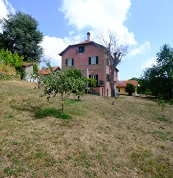Foto annuncio 3
