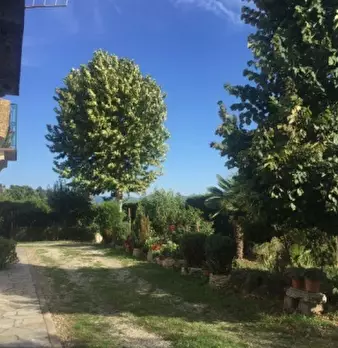 Foto annuncio 19