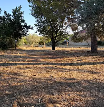 Foto annuncio 18