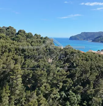 Foto annuncio 45