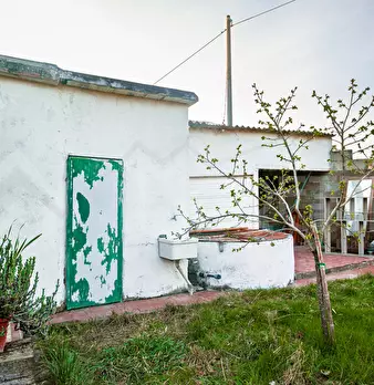 Foto annuncio 31