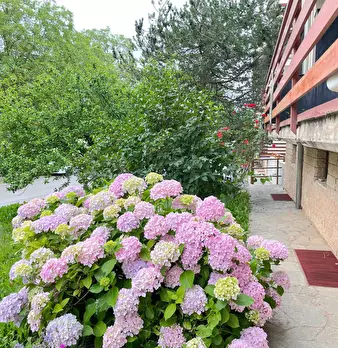 Foto annuncio 16