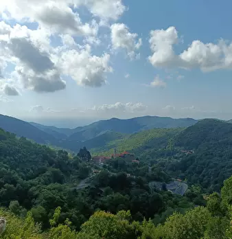 Foto annuncio 13