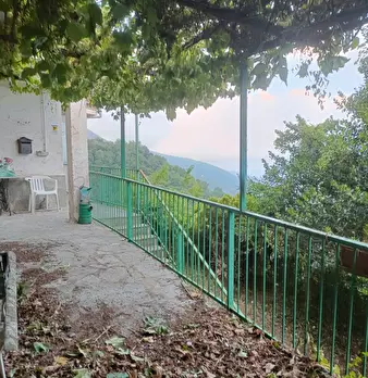Foto annuncio 24