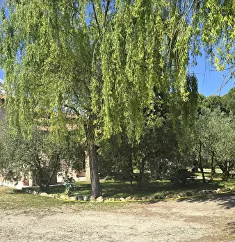Foto annuncio 82