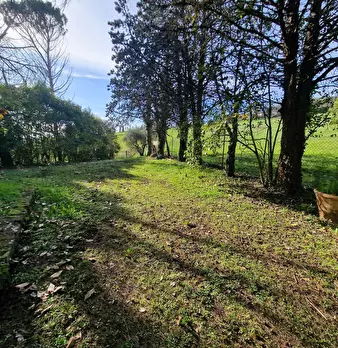 Foto annuncio 63