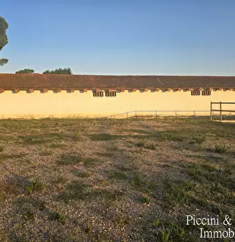 Foto annuncio 66