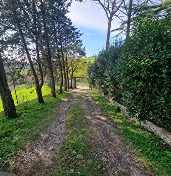 Foto annuncio 71