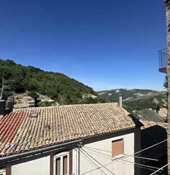 Foto annuncio 71
