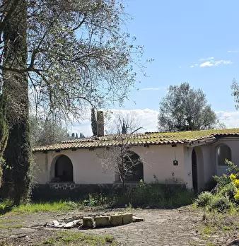 Foto annuncio 5