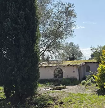 Foto annuncio 4