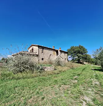 Foto annuncio 31