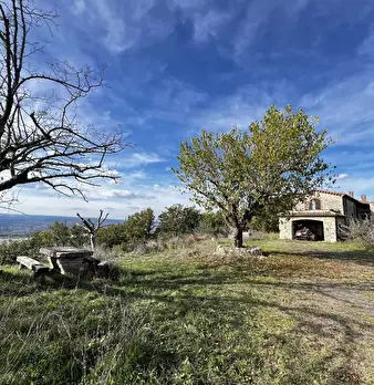 Foto annuncio 97