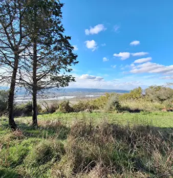 Foto annuncio 127
