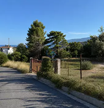 Foto annuncio 2