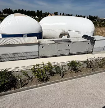 Foto annuncio 8
