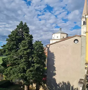 Foto annuncio 69