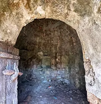 Foto annuncio 11