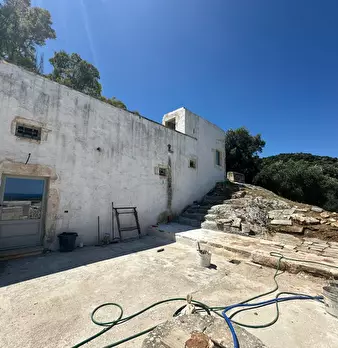 Foto annuncio 67