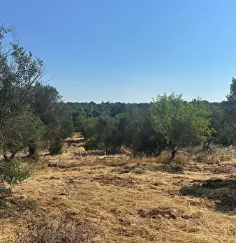 Foto annuncio 14