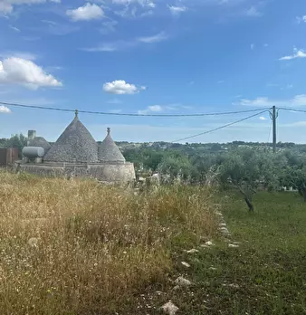 Foto annuncio 18