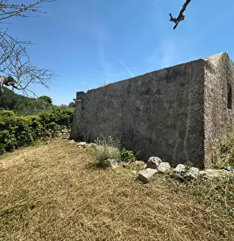 Foto annuncio 10