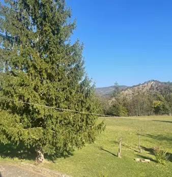 Foto annuncio 57