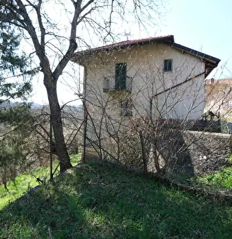 Foto annuncio 7
