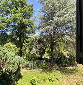 Foto annuncio 65