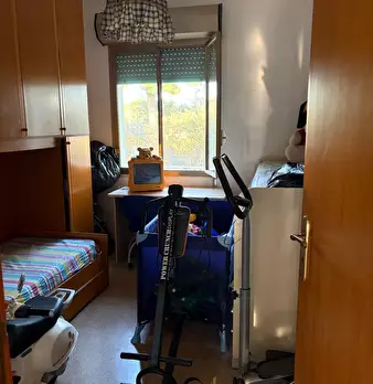 Foto annuncio 7