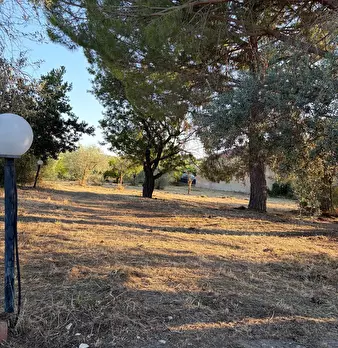 Foto annuncio 15