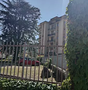 Foto annuncio 10