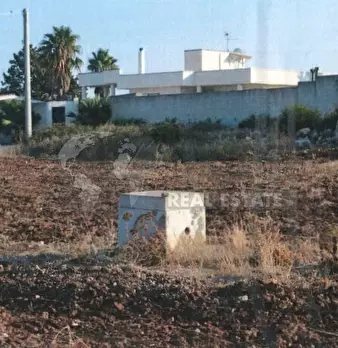 Foto annuncio 9